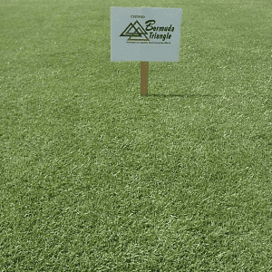 bermuda triangle grass bydroseeding texas