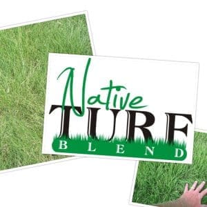 collage-2015-05-12-2