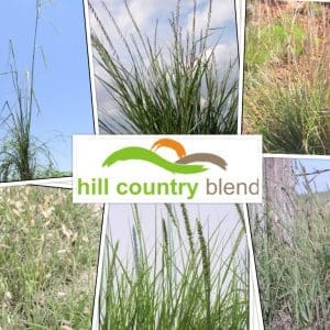 collage-2015-05-12-22