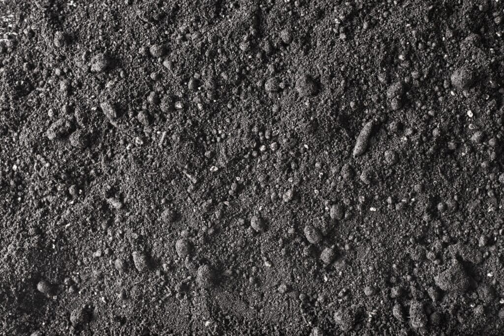 Fertile soil background. Dirt land texture