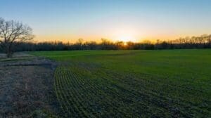 Green field at sunset with a blue sky in the background in Dallas, Texas, the United States
