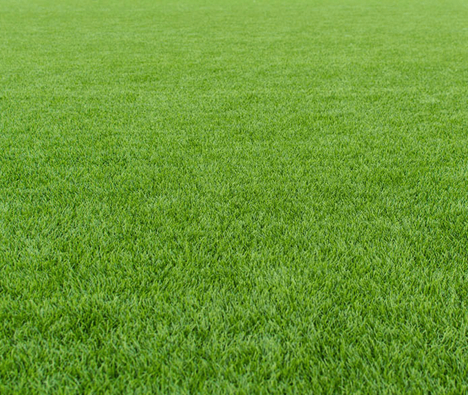 tex ace bermuda hydroseeding texas